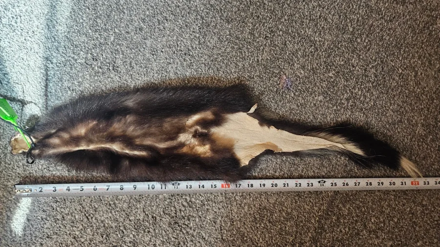 Ct Prime Skunk, Med — photo 2