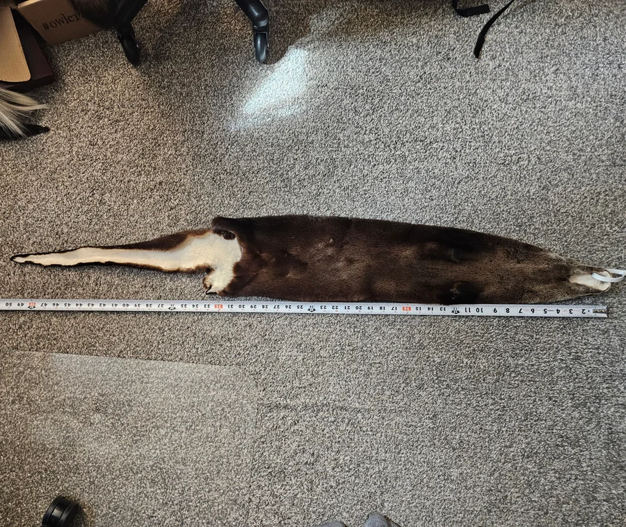 LM Prime CT Otter — photo 2
