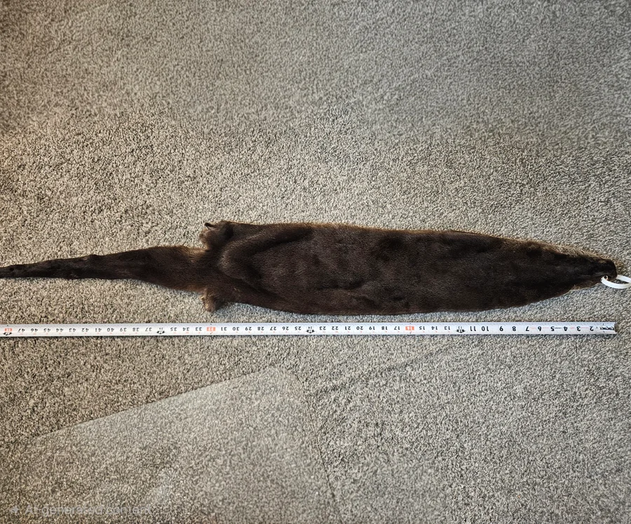 LM Prime CT Otter — photo 3