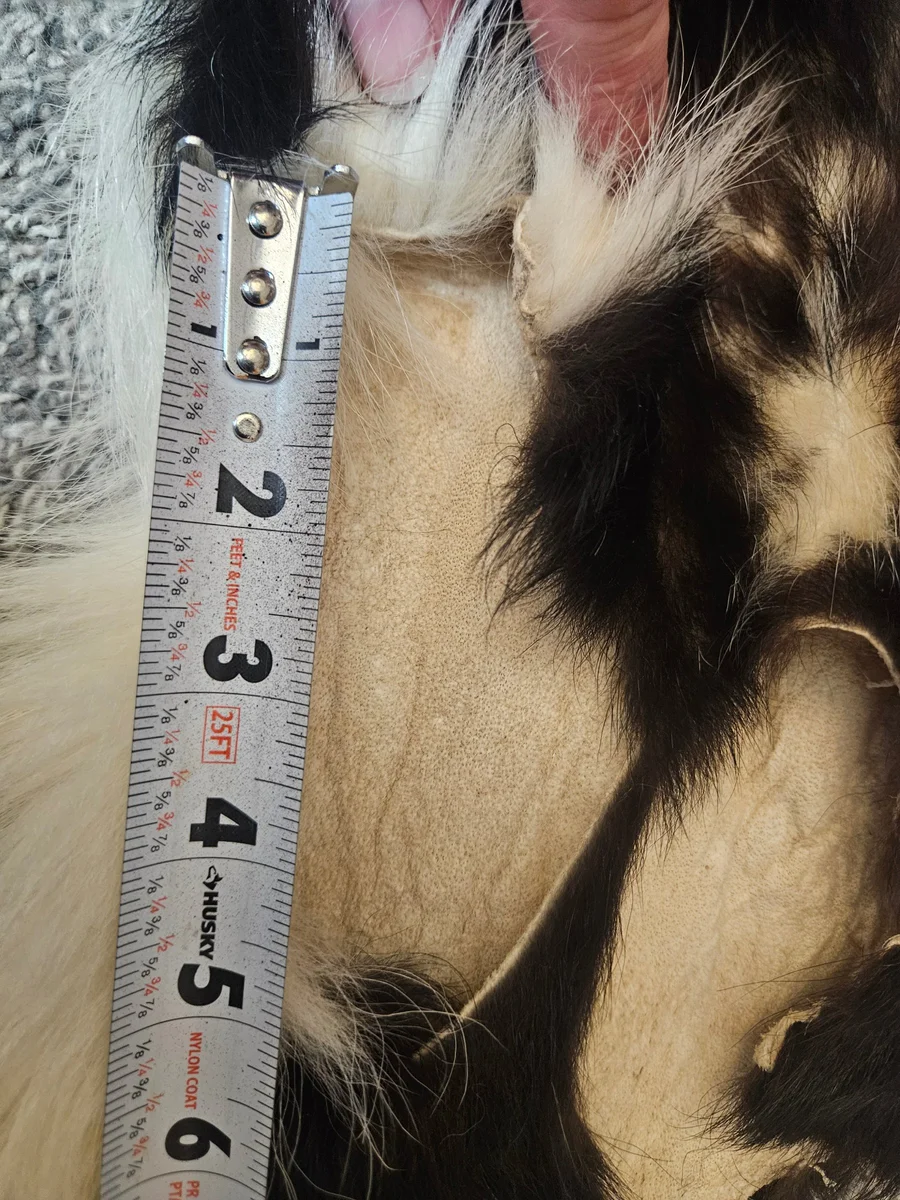 Prime CT Skunk, Large — photo 3