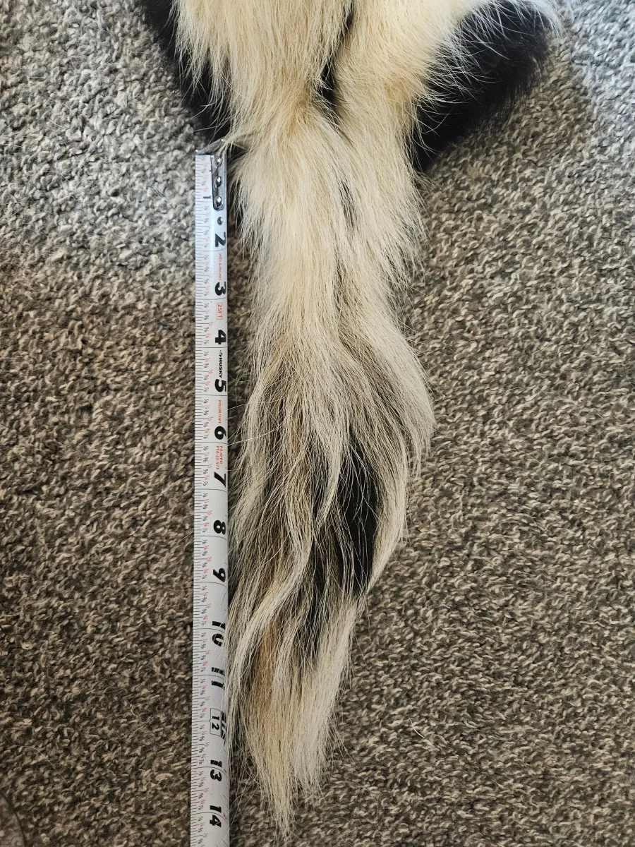 Prime CT Skunk, Large — photo 4