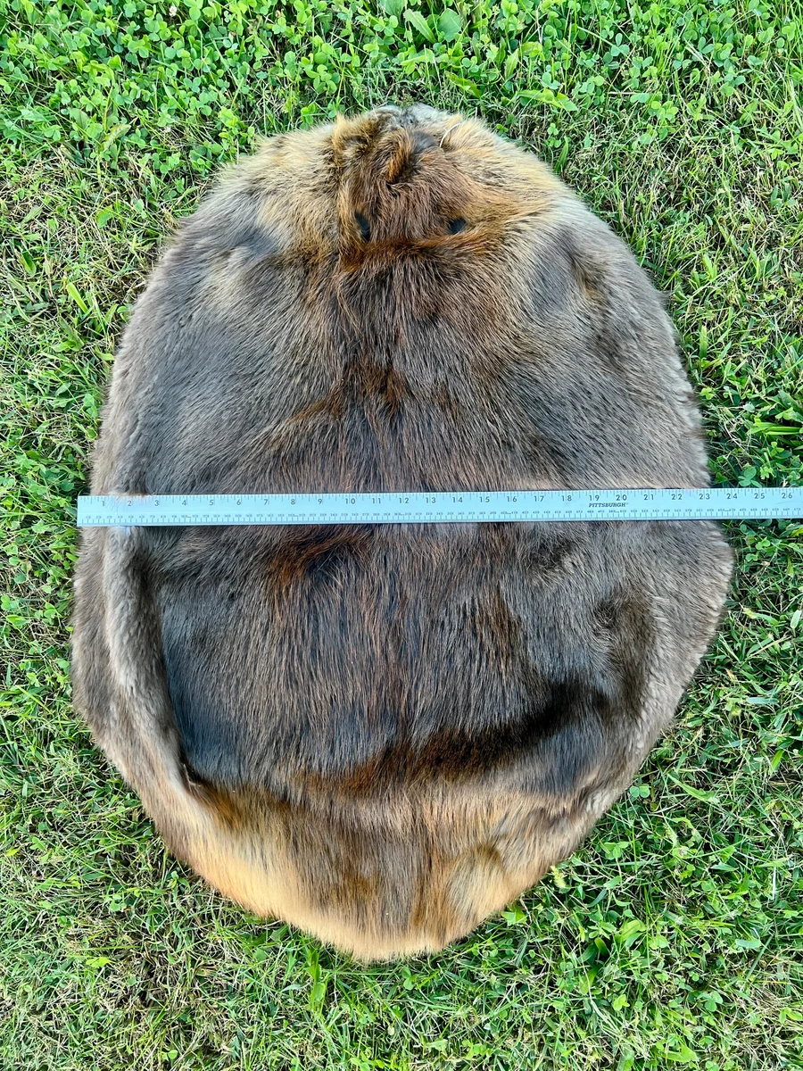 Tanned Appalachian LG Beaver Pelt — pelt, wild-trapped — photo 4