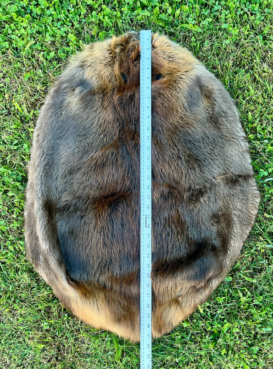 Tanned Appalachian LG Beaver Pelt — pelt, wild-trapped — photo 3