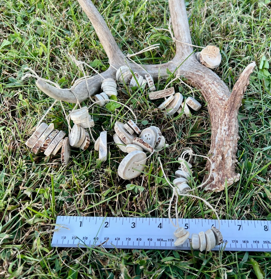Assorted Shed Antler Buttons (6) — Whitetail Deer bone, salvaged — photo 5