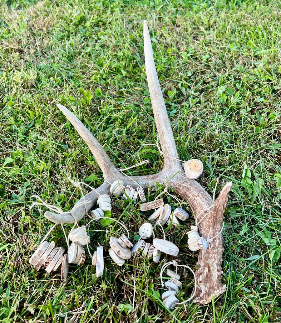 Assorted Shed Antler Buttons (6) — Whitetail Deer bone, salvaged — photo 3