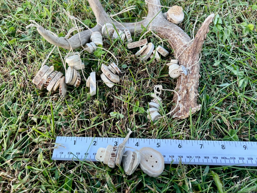 Assorted Shed Antler Buttons (6) — Whitetail Deer bone, salvaged — photo 4