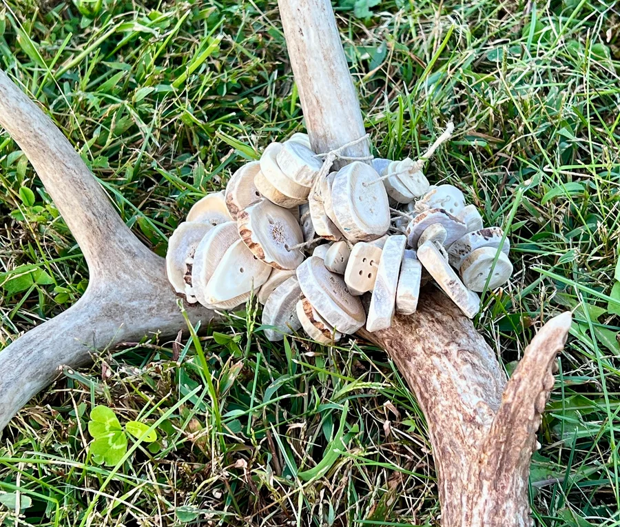 Assorted Shed Antler Buttons (6) — Whitetail Deer bone, salvaged — photo 2