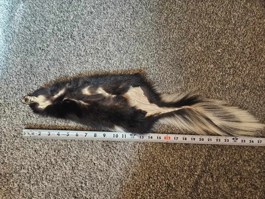 Prime CT Skunk #2 — photo 2