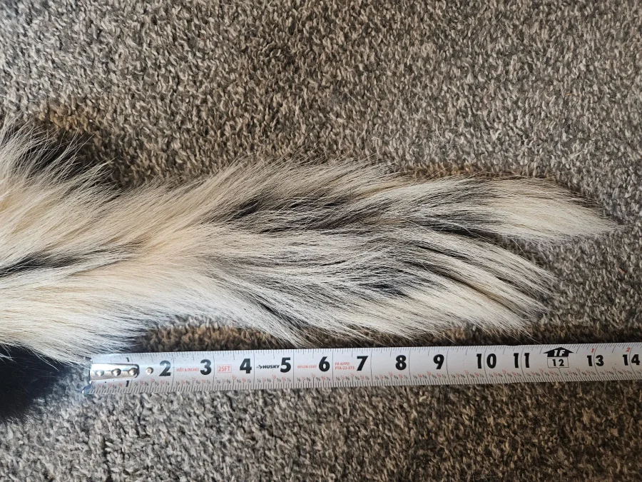 Prime CT Skunk #2 — photo 3