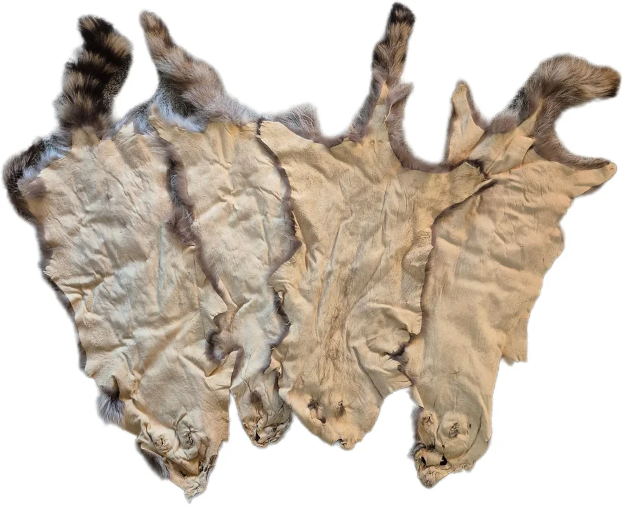 Tanned Raccoon Fur Pelt  — photo 2