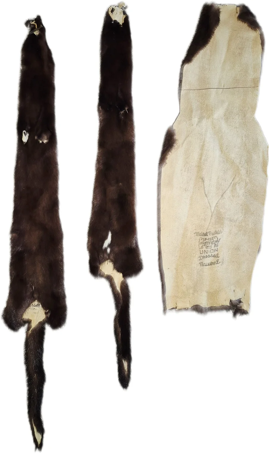 Black Mink Fur Pelts for Crafts, Decor & Garment Making  — photo 4