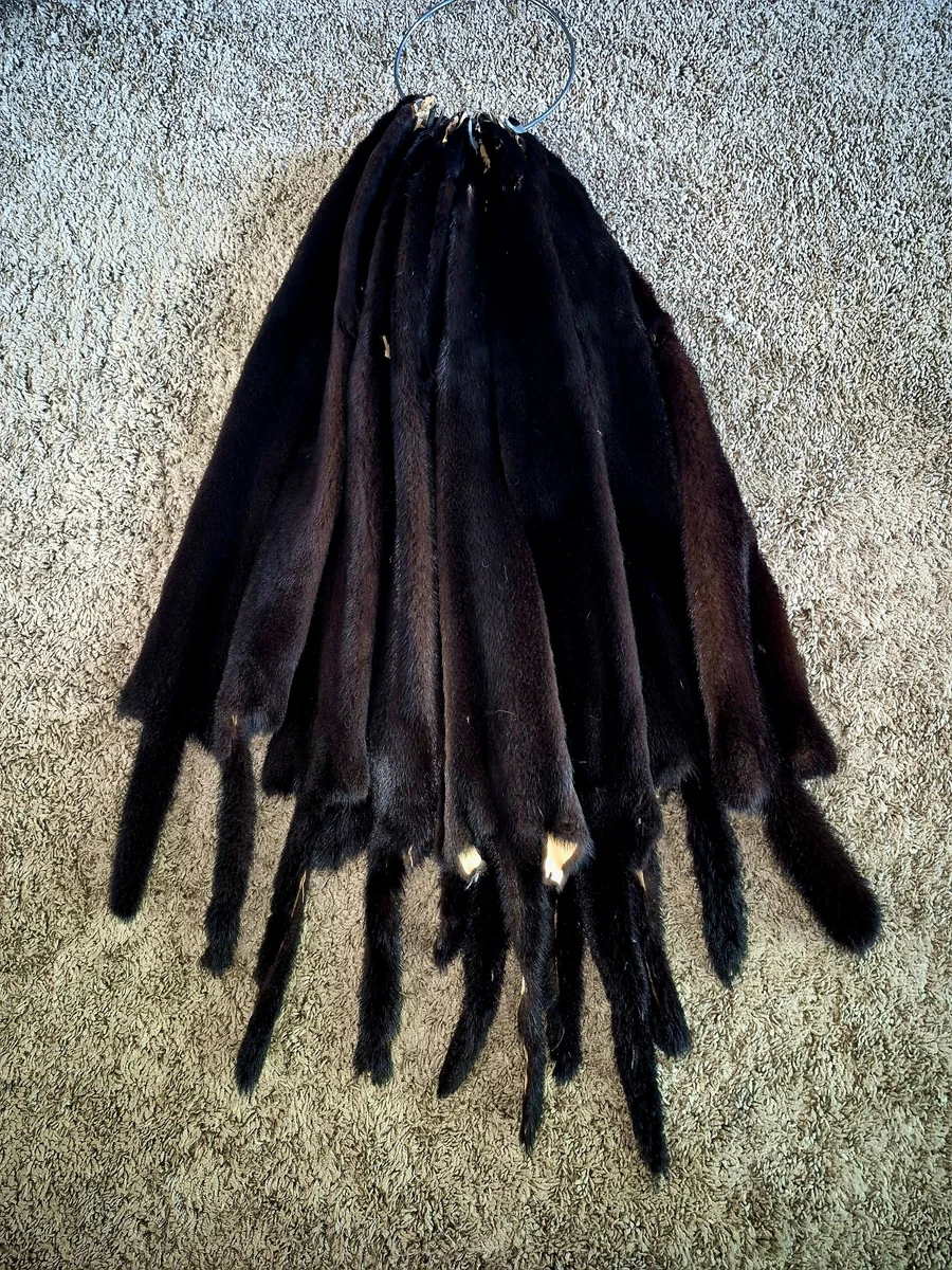 Black Mink Fur Pelts for Crafts, Decor & Garment Making  — photo 2