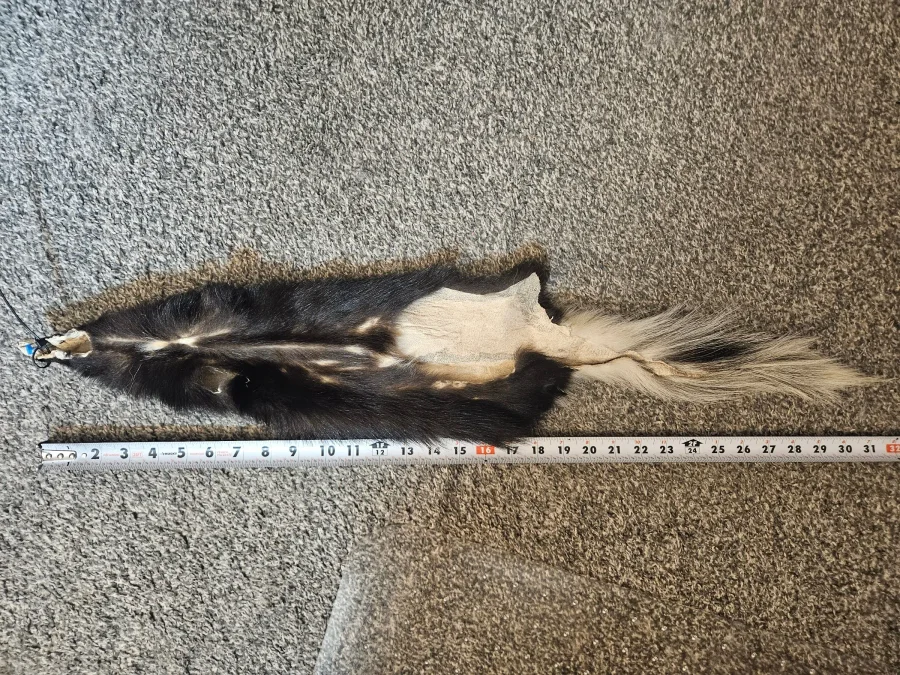 Prime CT Skunk, Medium — photo 2