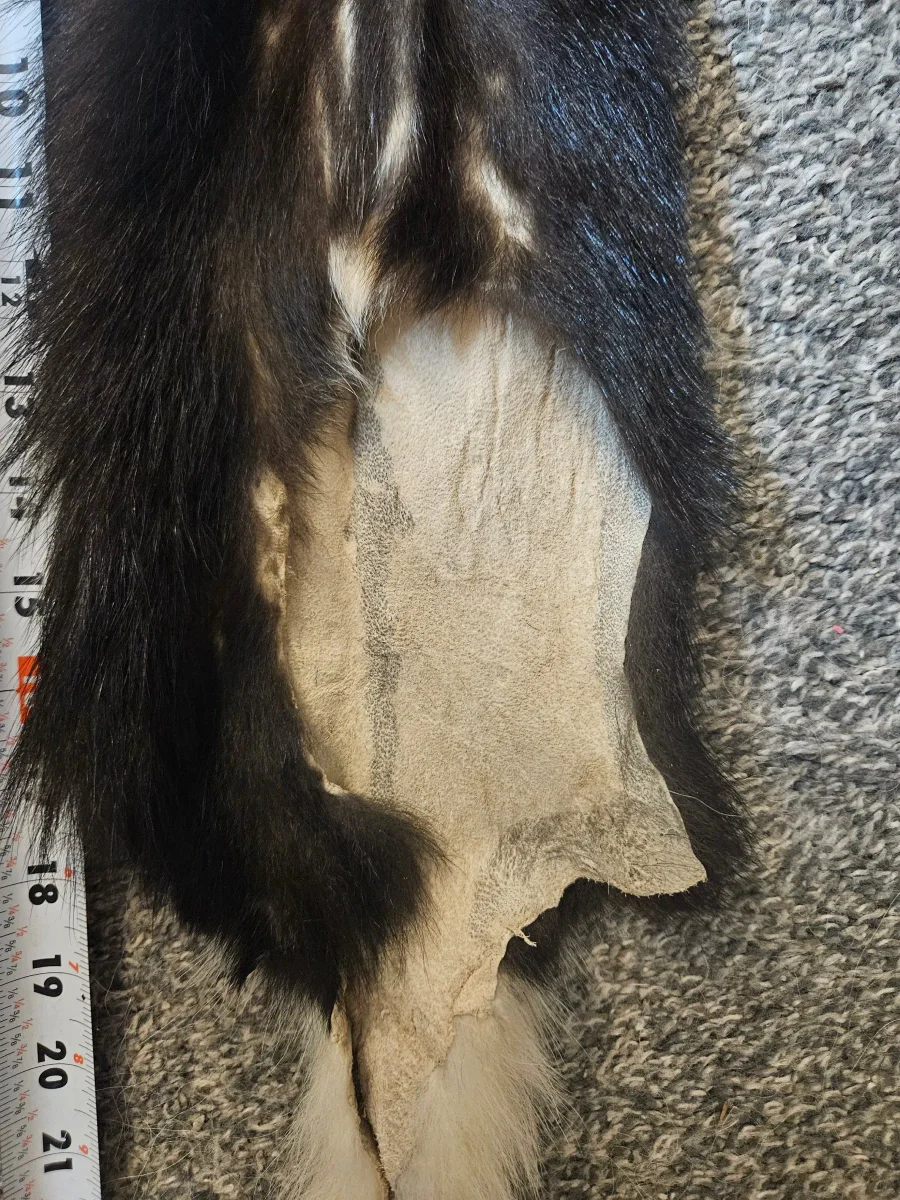 Prime CT Skunk, Medium — photo 3