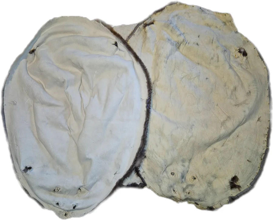 Premium Select Grade XXL Tanned Beaver Fur Pelts — photo 2