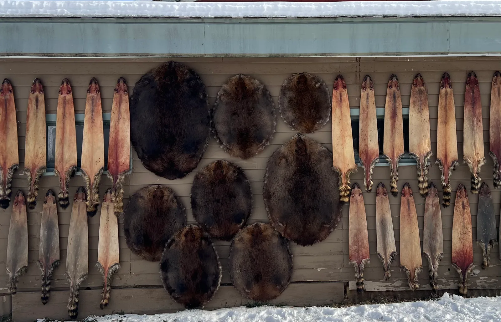 Highland Holler Fur banner
