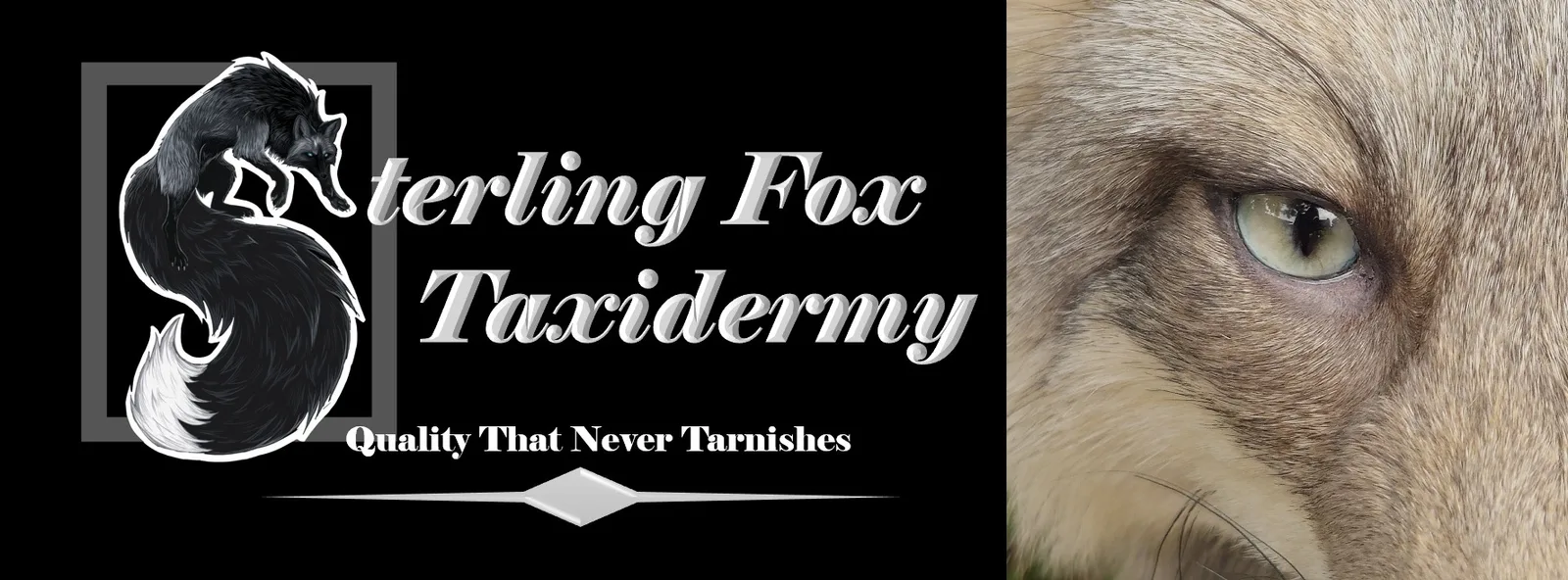 Sterling Fox Taxidermy banner